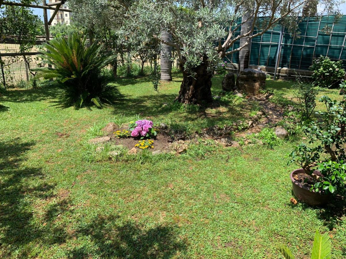 The Central Home SantʼAntonio Abate Dış mekan fotoğraf